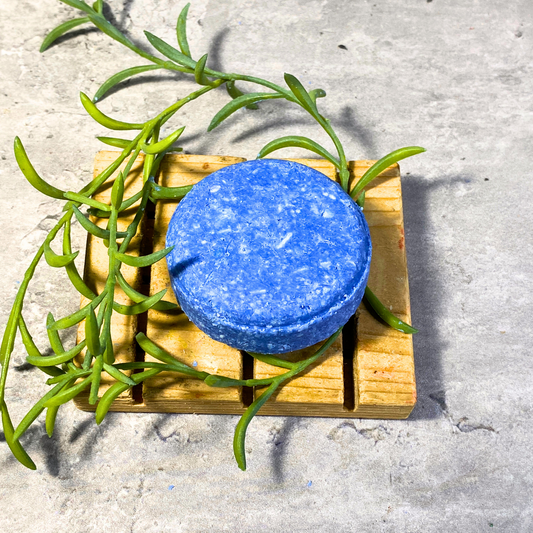 "A blue shampoo bar resting on a wooden soap dish, surrounded by a green succulent plant. The bar has a textured appearance, with a natural, earthy vibe against a concrete surface background.